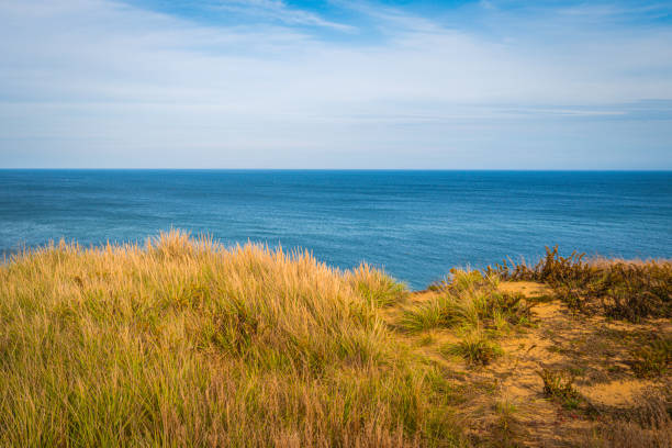 istock Tranquil seascape over Coast Guard Beach. Cape Cod National Seashore in the Atlantic Ocean. 1371390336