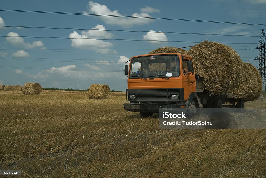 Transport Stroh rolls - Lizenzfrei Agrarbetrieb Stock-Foto