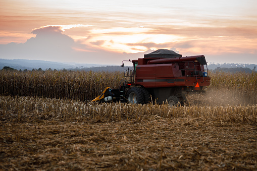 industry harvesting corn