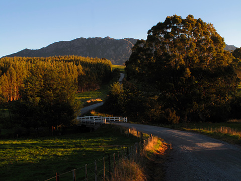Tasmania Mountain Landscape Scenery Mt Roland Road