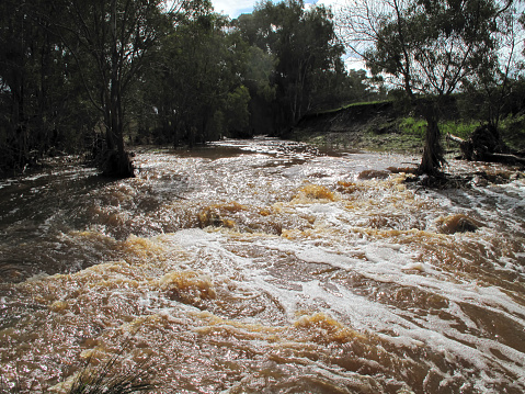 Rocky River, in Flood, Flinders Ranges South Australia
