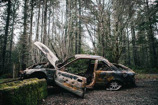 An abandoned vehicle rusts in a tree area after experiencing a car fire.