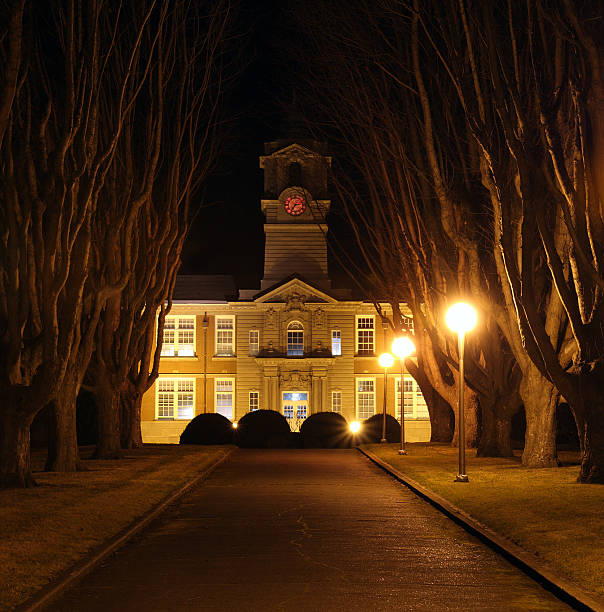 istock Tree-Lined Walkway and College Building at Night 137142564