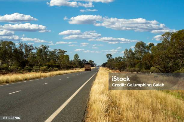 Dry Grasses Along An Outback Bitumen Road Somewhere Between Hillston And Cobar Stock Photo - Download Image Now