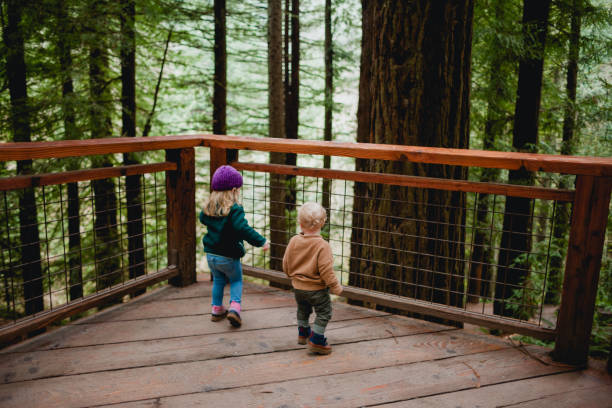 istock Family Exploring Nature Park 1371426945
