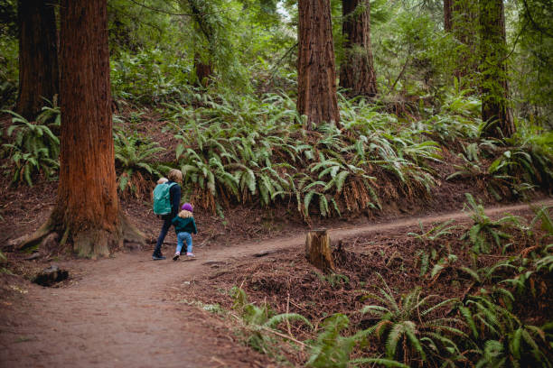 istock Mother Hiking in Forest with two children 1371427023