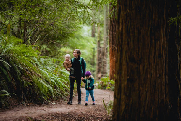 istock Mother Hiking in Forest with two children 1371427029