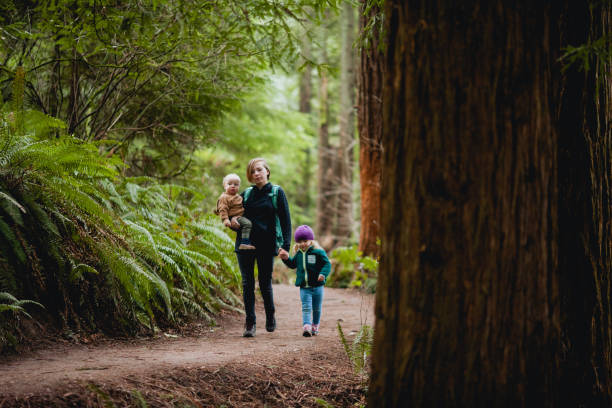 istock Mother Hiking in Forest with two children 1371427032