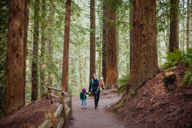 istock Mother Hiking in Forest with two children 1371427039
