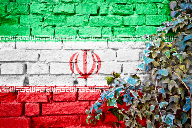 istock Iranian grunge flag on brick wall with ivy plant 1371436410