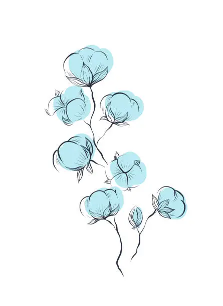 Vector illustration of Delicate natural sketches of blue cotton plant and stems with foliage isolated from background. Vector gentle herbal clipart