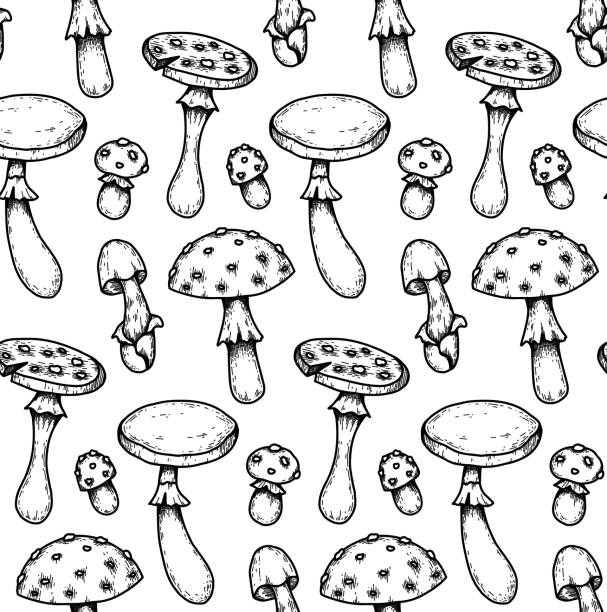 Seamless pattern with hand drawn sketches of poisonous mushrooms with hatching. Amanita and false mushrooms. Vector natural texture for wallpaper. Seamless pattern with hand drawn sketches of poisonous mushrooms with hatching. Amanita and false mushrooms. Vector natural texture for wallpaper. Background with contour drawing of dangerous fungus little grebe (tachybaptus ruficollis) stock illustrations