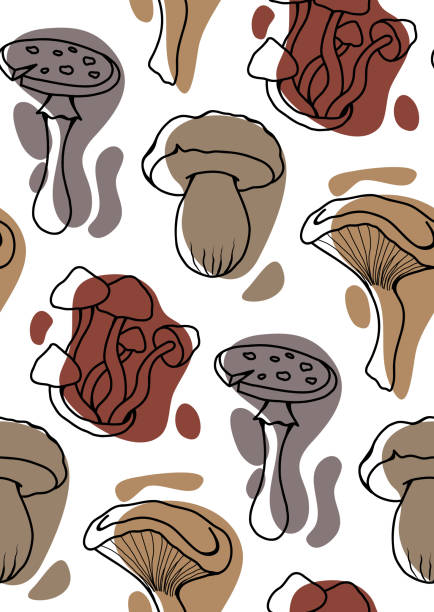 Vector seamless pattern with stylized sketches of poisonous mushrooms with color spots. Amanita and dabchick. Natural texture for wallpaper. Vector seamless pattern with stylized sketches of poisonous mushrooms with color spots. Amanita and dabchick. Natural texture for wallpaper. Background with contour drawing of dangerous fungus little grebe (tachybaptus ruficollis) stock illustrations