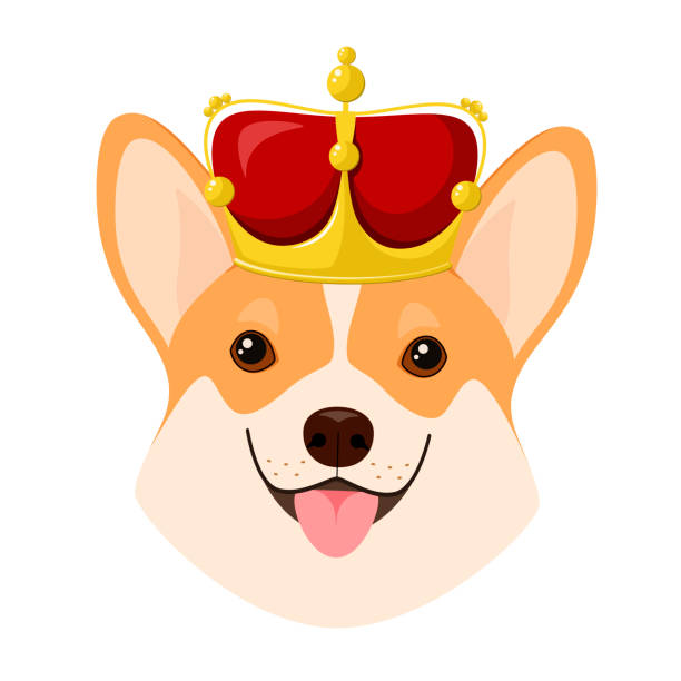 ilustraciones, imágenes clip art, dibujos animados e iconos de stock de un perro corgi con una corona - corgi galés pembroke