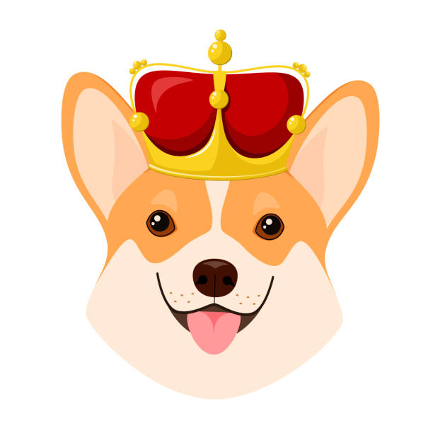 ilustrações de stock, clip art, desenhos animados e ícones de a corgi dog with a crown - pembroke welsh corgi