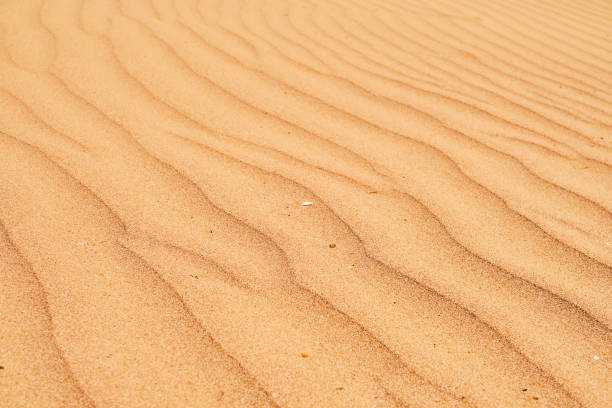 istock Natural sandstone texture background, sand on the beach as background. Wavy sand background for summer designs or backdrops. 1371449190