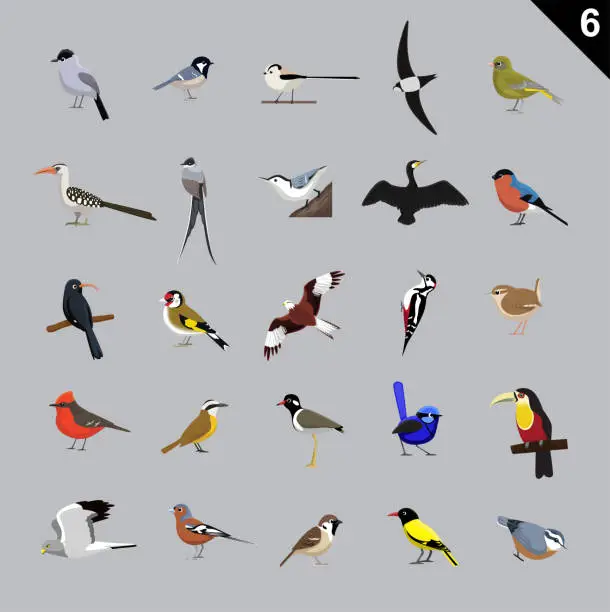 Vector illustration of Various Birds Cartoon Vector Illustration 6