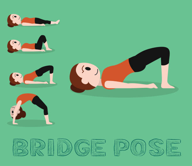 Yoga Tutorial Bridge Pose Cute Cartoon Vector Illustration Yoga Posture EPS10 File Format shoulder stand stock illustrations