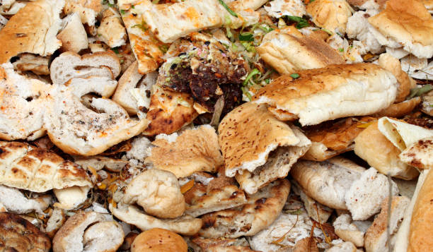 istock pieces of bread wasted in the dump 1371456987