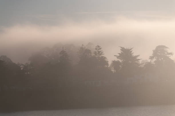 istock Sunset in Santa Cruz 1371460488