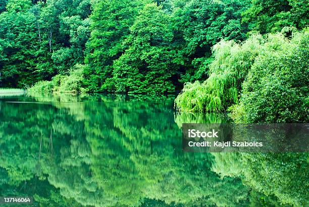 Lago - Fotografie stock e altre immagini di Acqua - Acqua, Acqua potabile, Acqua stagnante