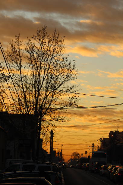 istock Sunset in the city 1371462013