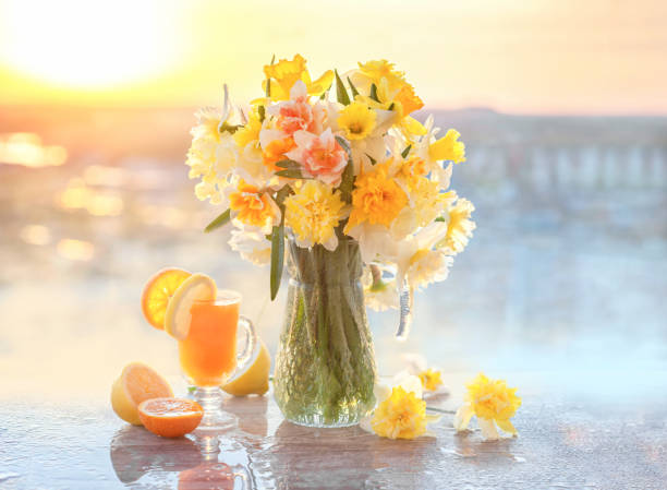 bouquet de jonquilles fraîches et colorées sur fond de ciel naturel avec du jus d’orange. belle nature morte avec des fleurs printanières de jonquilles dans le brouillard - spring daffodil flower sky photos et images de collection