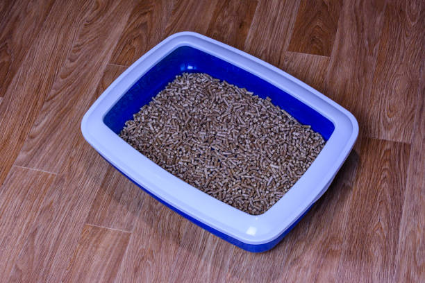 istock Pet litter box with filler on a floor 1371464844
