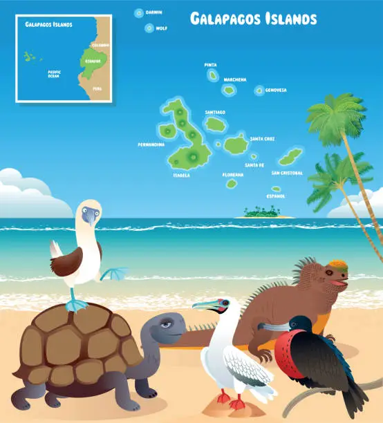 Vector illustration of Galapagos Islands and animals