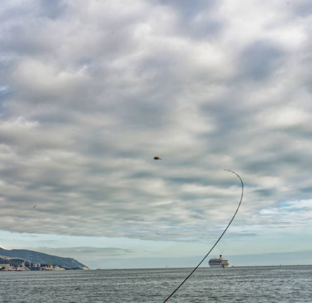 pesca alimentadora en el golfo de la spezia - lure loc fotografías e imágenes de stock