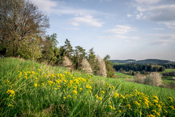 Nature Landscape Spring Flower - Free photo on Pixabay