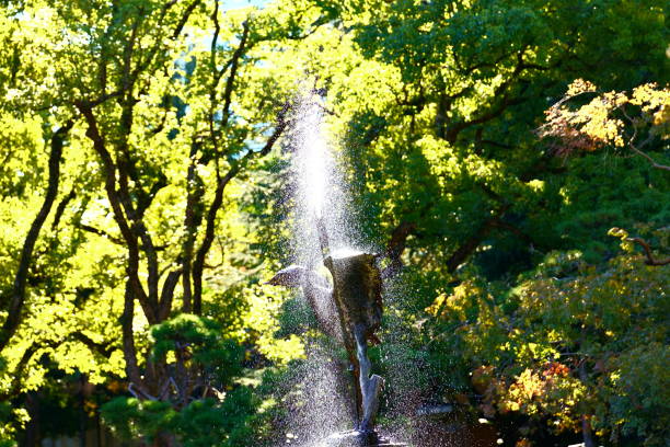 Water Column