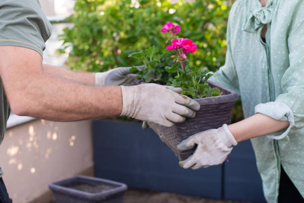 istock Two gardeners working together 1371470167