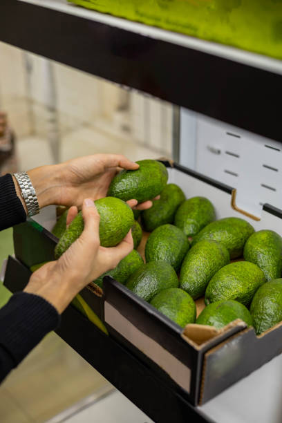 closeup female kitchen staff hands in apron choosing fresh green avocado from cardboard box - guacamole food bar vegan food imagens e fotografias de stock