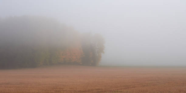 istock Fog in Tuusula in Finland. 1371472633