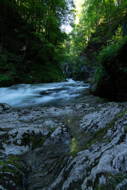 istock Toggenburg Waterfall 1371475120