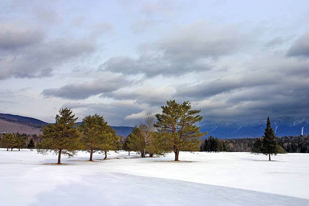 istock Bretton Woods, New Hampshire 137147548