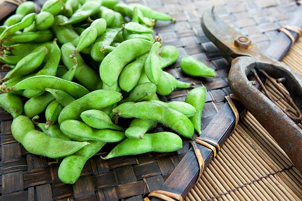 istock Fresh harvested edamame soybeans on bamboo tray. 137147762
