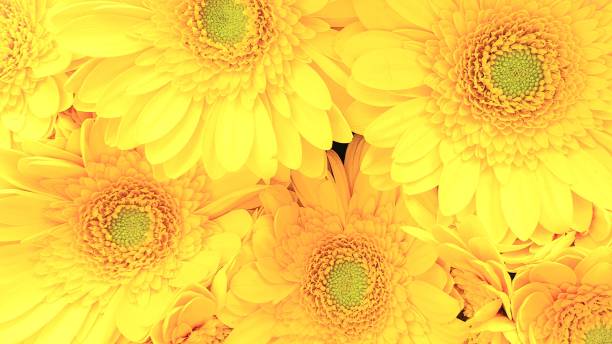 istock Yellow spring summer flowers 1371478050