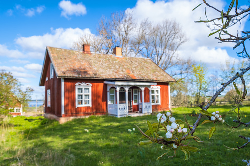 Falköping, Sweden - May 14, 2020: Flowering tree branch in a garden by a old cottage