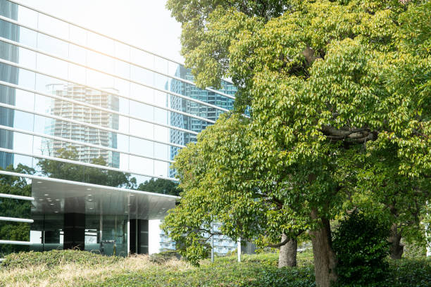istock Sky and clouds reflected in a modern building glass facade 1371490876