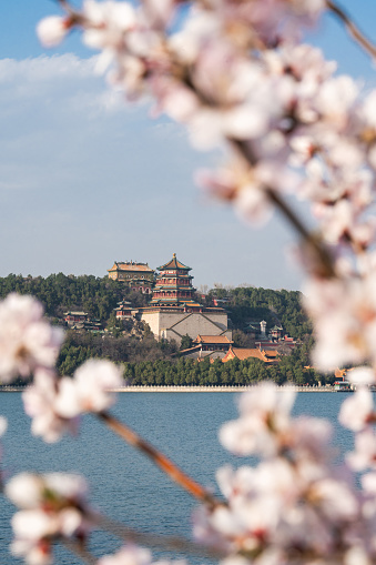 Beijing Summer Palace in Spring