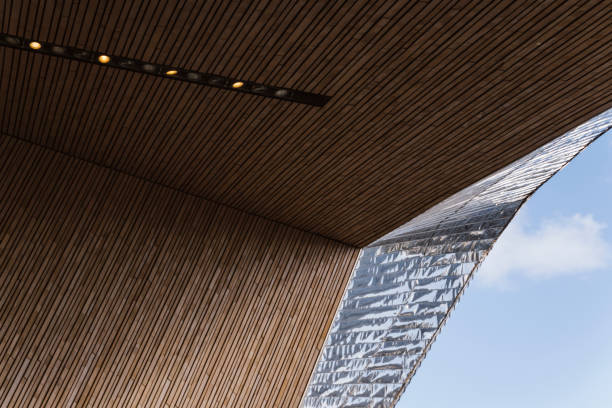istock ROTTERDAM, THE NETHERLANDS - MARCH 6, 2019: Rotterdam Central Station Roof 1371497275
