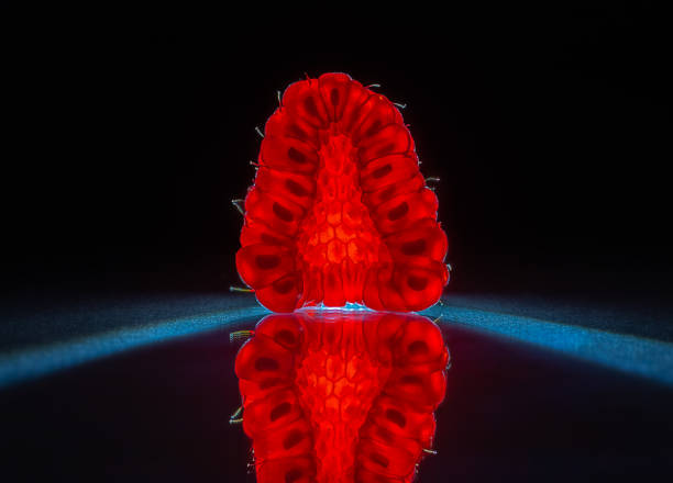 Macro shot of two raspberries on white background, with dew drops and reflection.