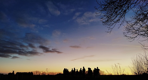 Huge Walnut Tree backlit silhouette under colorful moody Sunset Twilight. 16:9 Cropped Hasselblad X2D 100 MPixel. Baden Württemberg, South Germany.