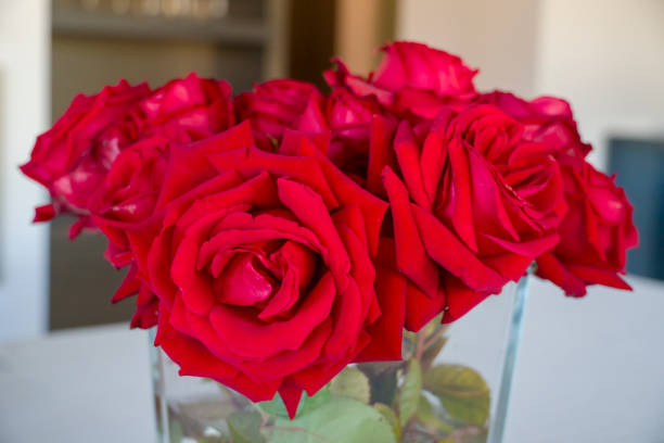 istock Beautiful red roses in a vase 1371502404