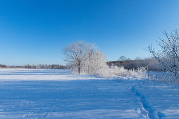 The cold winter prairie in the area around Calgary, Alberta.