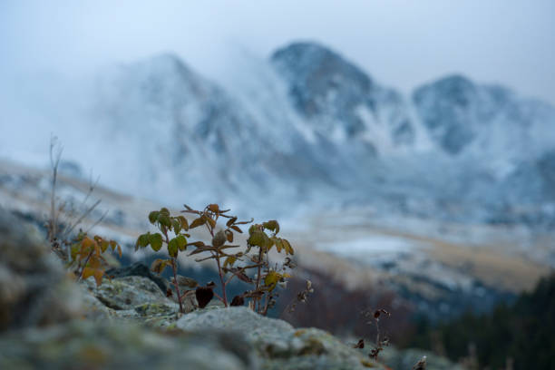 Grau Roig mountains from Soldeu by sunset Andorra country