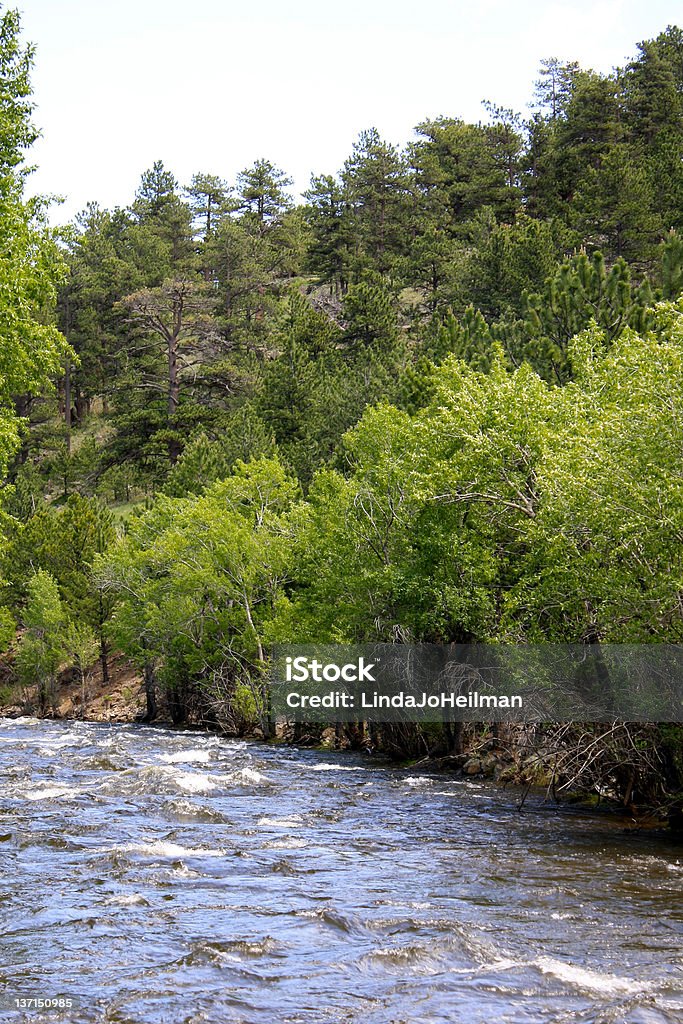 Rio Big Thompson - Foto de stock de Colorado royalty-free