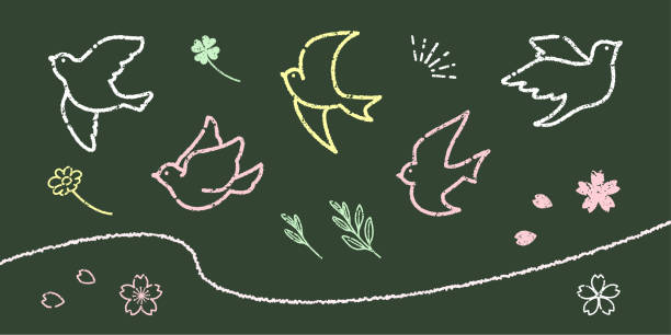 illustrations, cliparts, dessins animés et icônes de illustration des petits oiseaux simples et mignons (style art à la craie) - simplicity blackboard education chalk